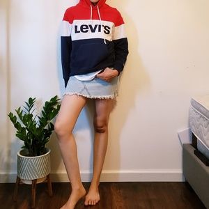 Levi's Colorblock Sport Hoodie